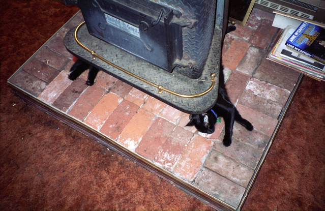 woodstove cats