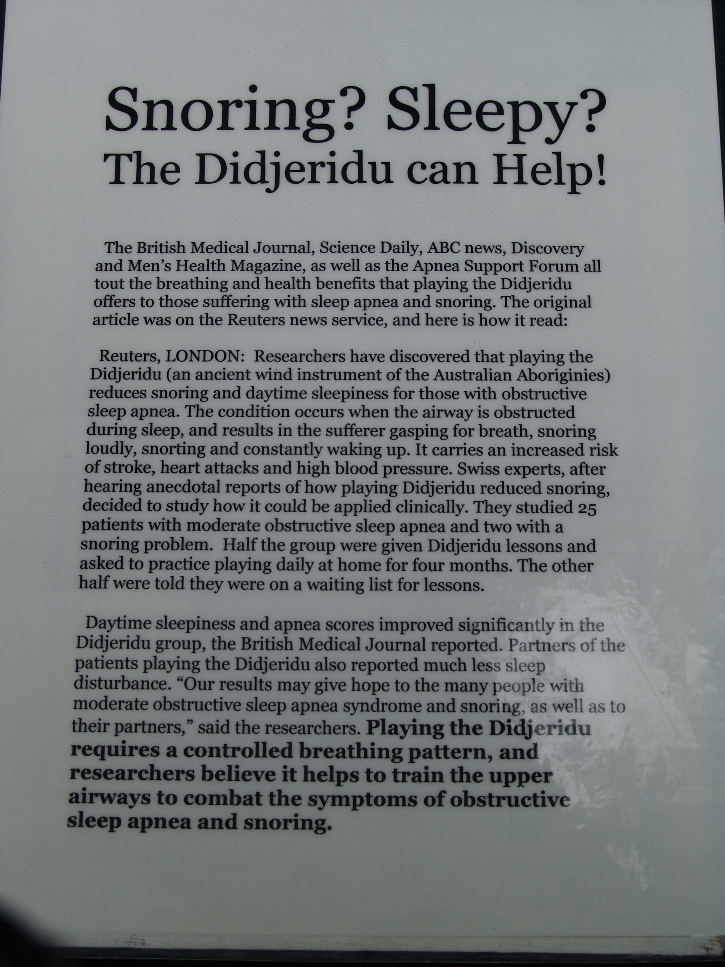 didjeridu_article1