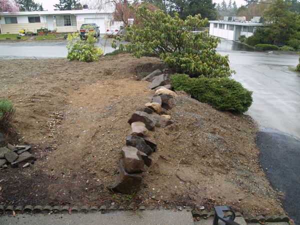 Front Yard and Rockery