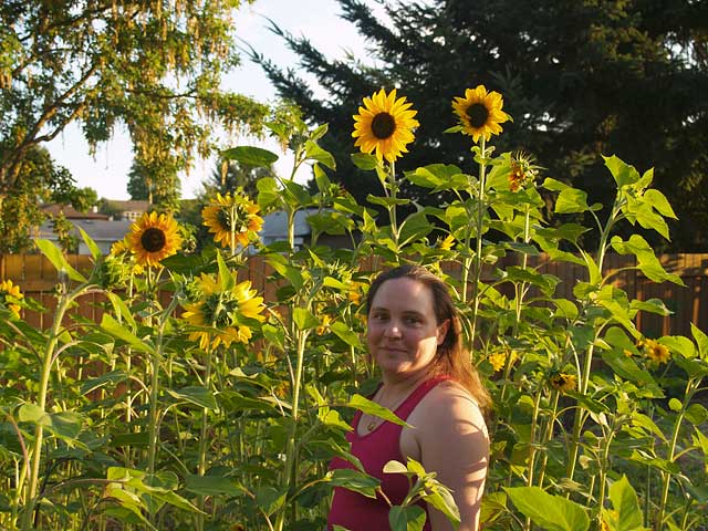 margaret-sunflowers.jpg