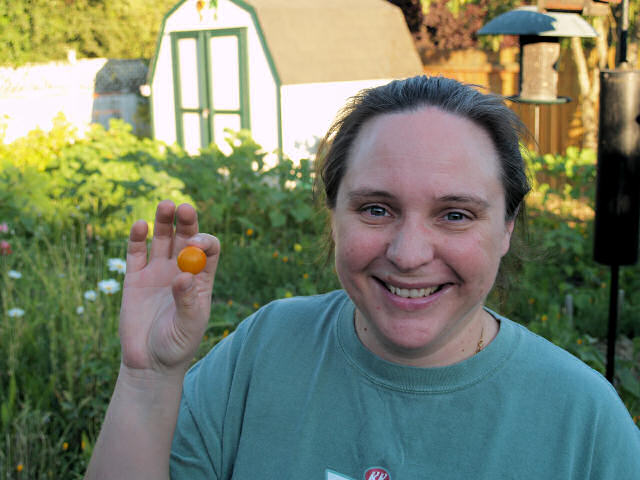 The First Tomato of 2007