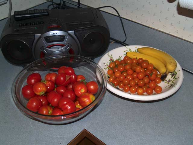 tomatoes.jpg